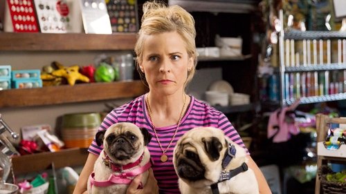 Poster della serie Lady Dynamite