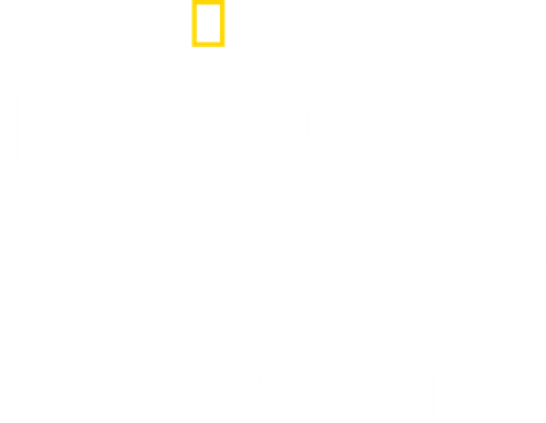 Tubarões de Perto com Bertie Gregory: Tubarão-martelo