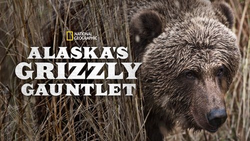 Alaska's Grizzly Gauntlet