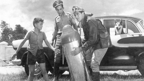 Escena 3 de Vigilante Rodoviário