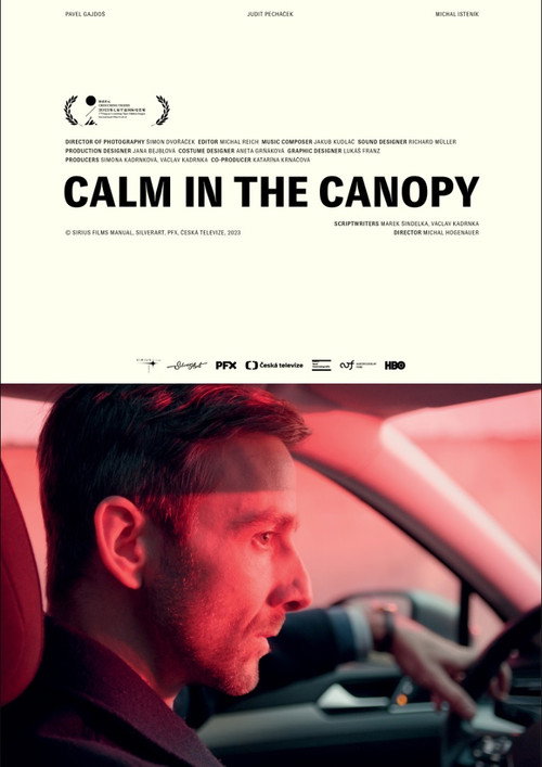 Calm in the Canopy poster