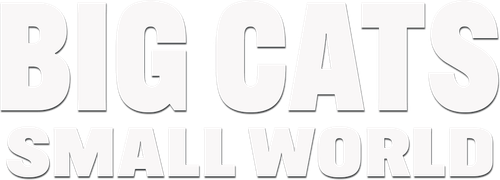 Big Cats, Small World | FlixBox