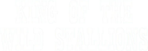 King of the Wild Stallions