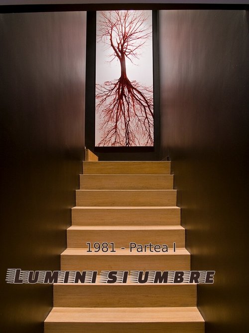 Lumini și umbre poster