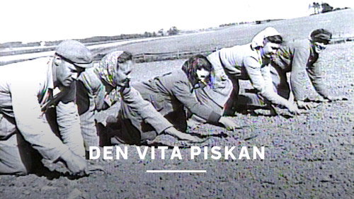 Den vita piskan Backdrop Blur