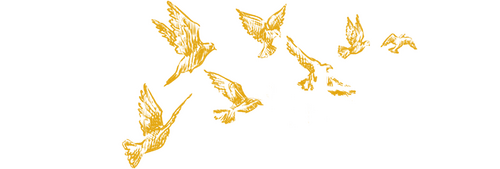 A Yellow Bird