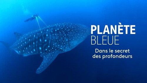 Image Les Grandes Profondeurs