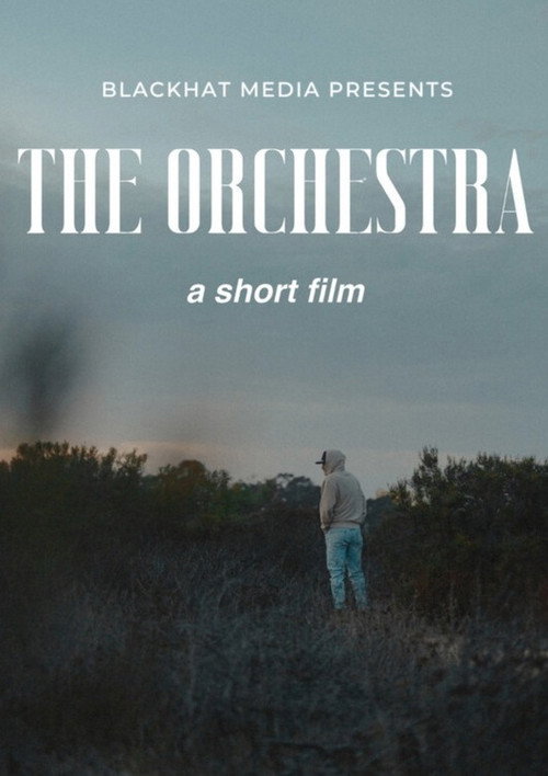 The Orchestra