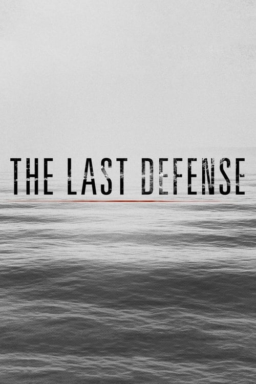 Poster da série The Last Defense