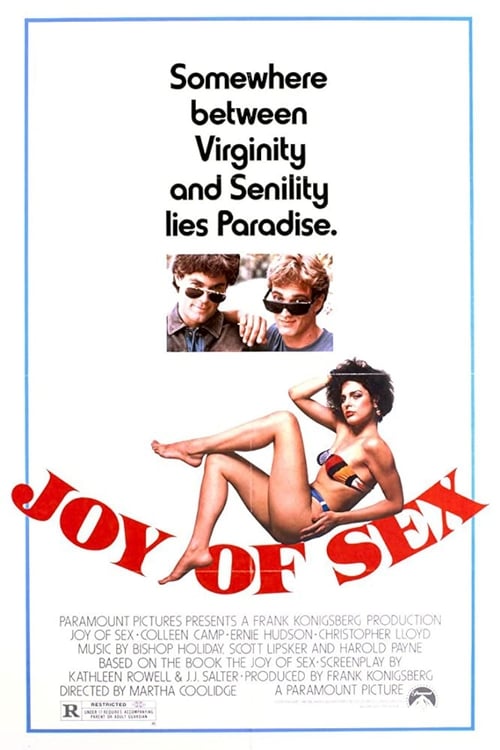 Poster do filme Joy of Sex