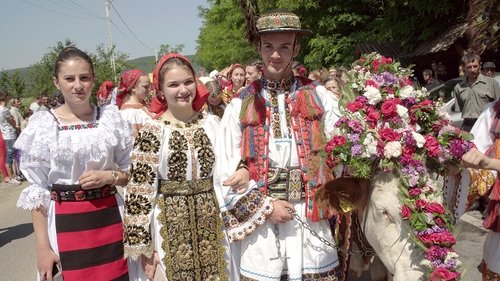 Image de l'épisode 5