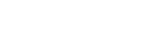 Segredos dos Pinguins - Logo 6