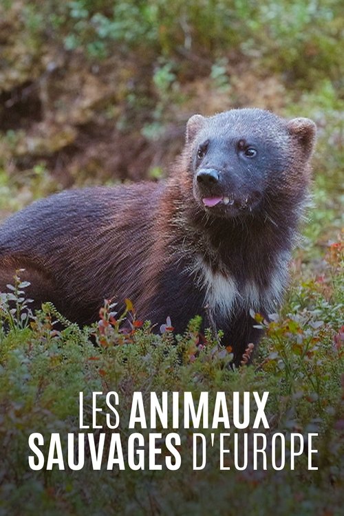 Les Animaux sauvages d'Europe