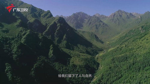 秘境神草 Bild 4