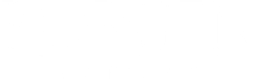 Borgen - Power & Glory