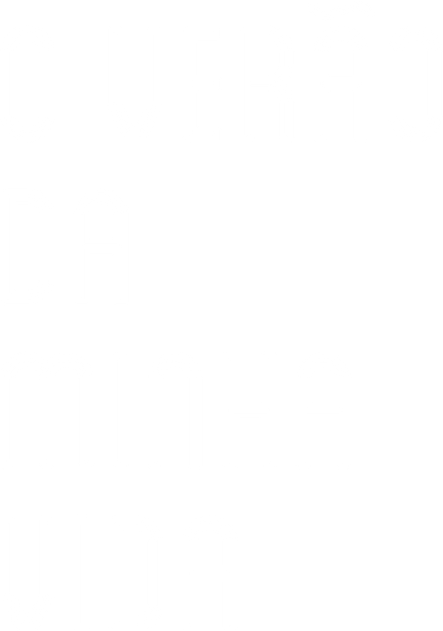 O Verão da Minha Vida - Logo 4