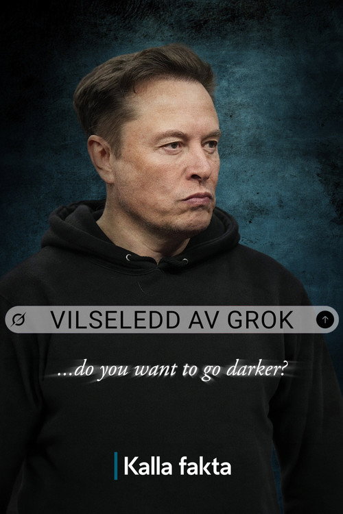 Kalla fakta: Vilseledd av Grok