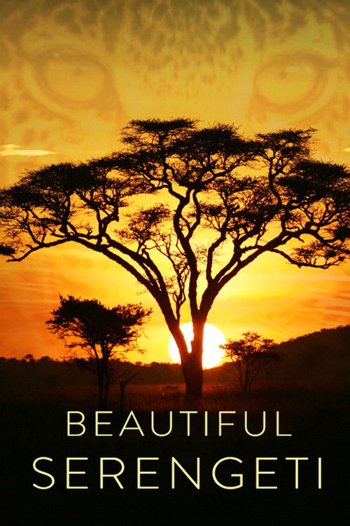 Beautiful Serengeti Poster