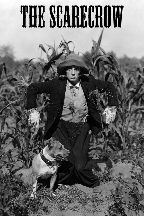 The Scarecrow (1920)