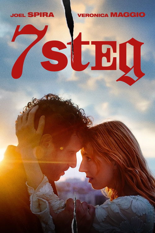 7 steg poster