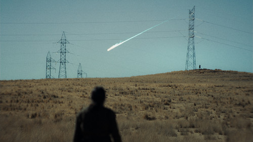 The Anatomy of the Horses