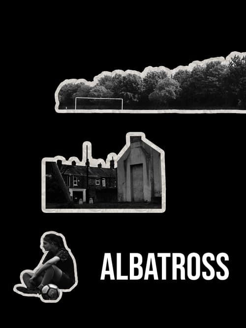 Official poster of Albatross (2021) - Drama
