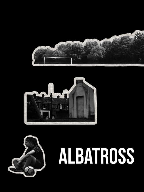 Albatross