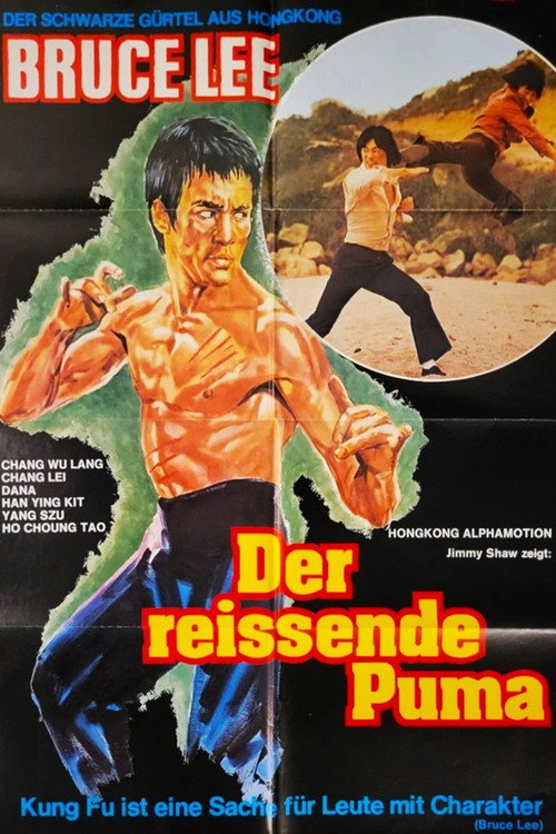 Storming Attacks poster