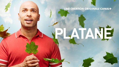 Imagen 4 del estreno de Platane