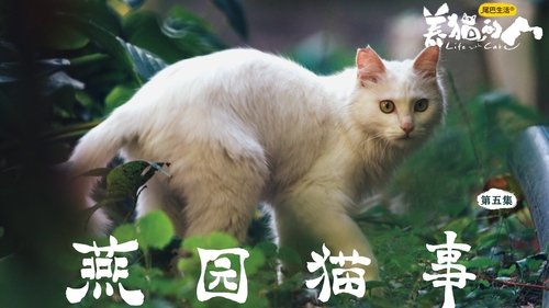 Poster della serie Life with Cats