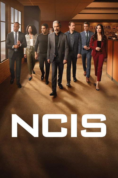 NCIS (Phần 14)