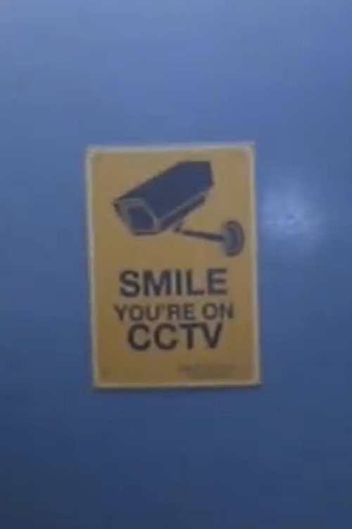 Bracknell Town Centre After The Bulldozers