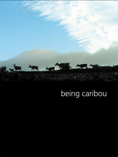 Being Caribou poster