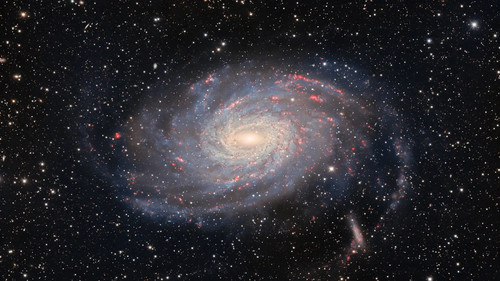 The Character of Physical Law