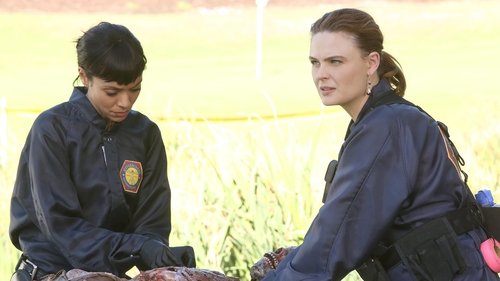 Bones: 11×8