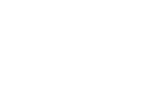 Russell Peters: Almost Famous (2016)