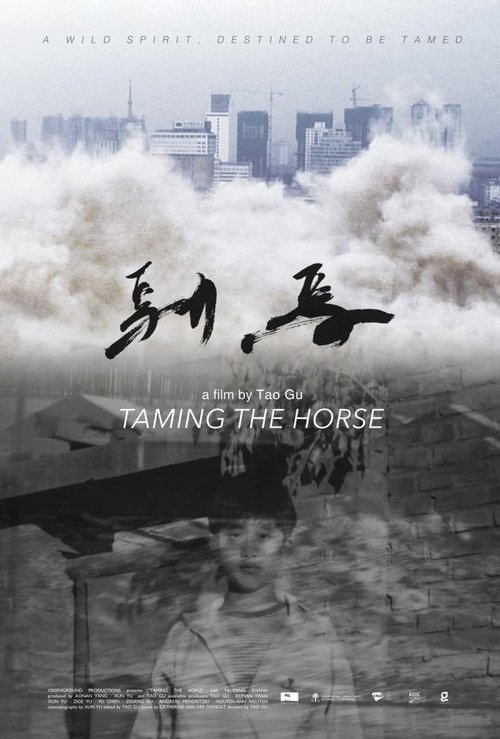 驯马 movie poster player