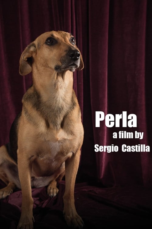 Perla: La Película (2015)