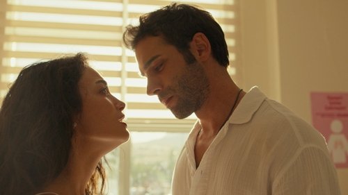 Safir: 1×1