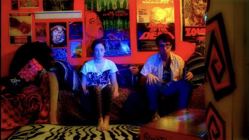 Video Diary of a Lost Girl