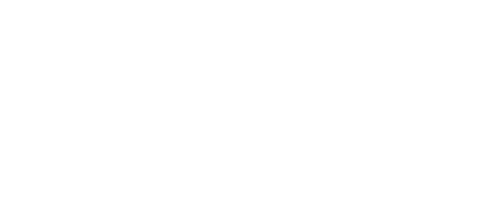 Fancy Dance
