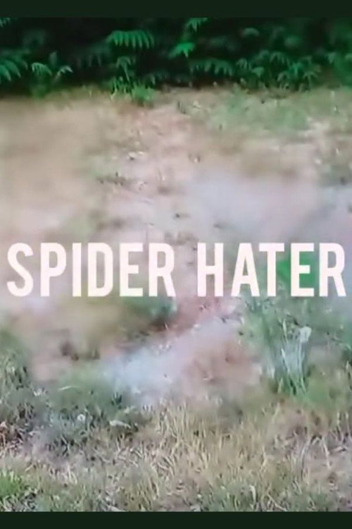 Spider Hater poster