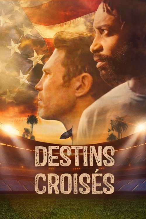 Poster image du film MVP MVP