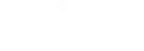 Minhas Aventuras com o Superman