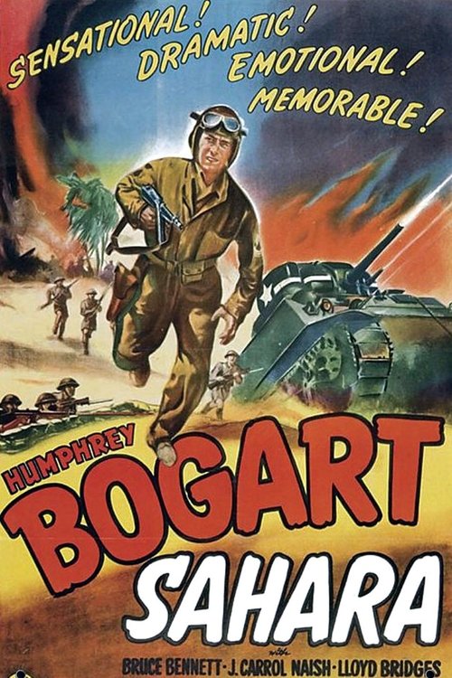 Poster 11