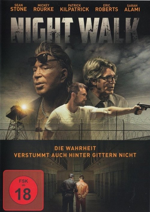 Night Walk poster