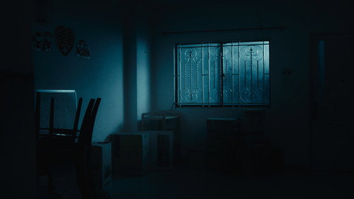 The House That Stays