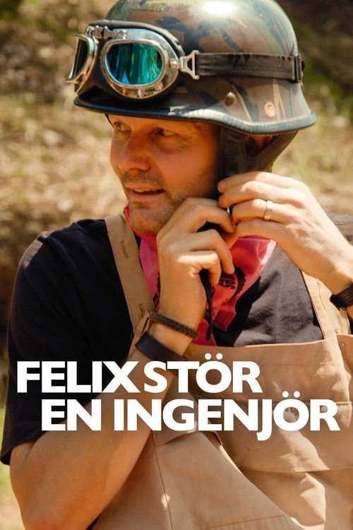 Felix stör en ingenjör