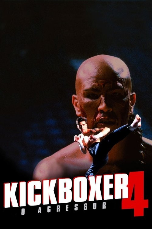 Kickboxer 4: The Aggressor