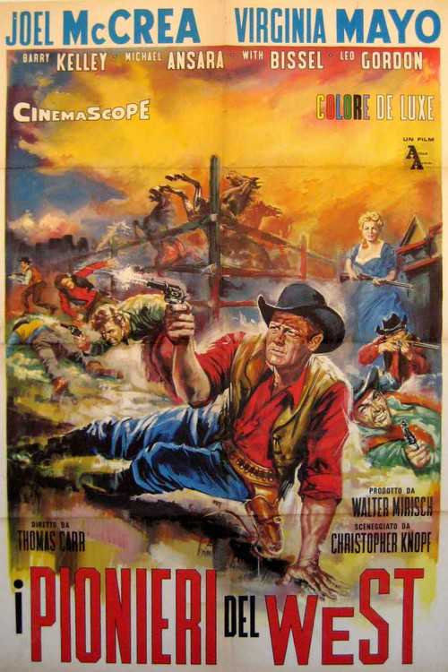 The Tall Stranger poster